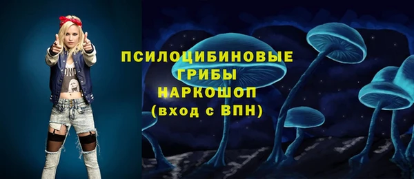 молекула духа Алексеевка