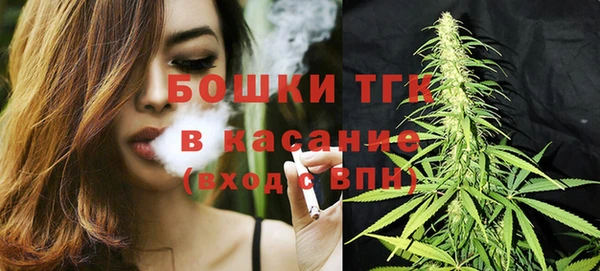 ПСИЛОЦИБИНОВЫЕ ГРИБЫ Алексин