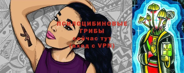дурь Алзамай