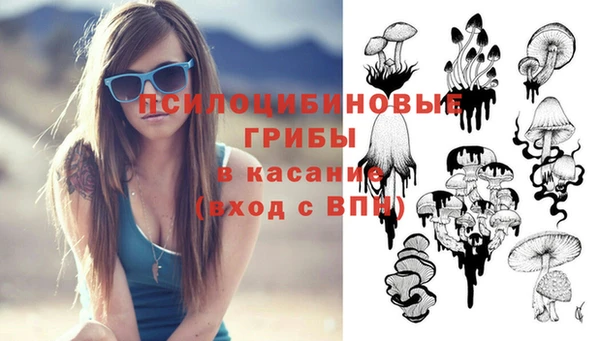 ПСИЛОЦИБИНОВЫЕ ГРИБЫ Алексин
