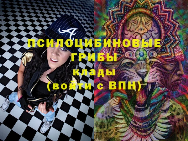 молекула духа Алексеевка